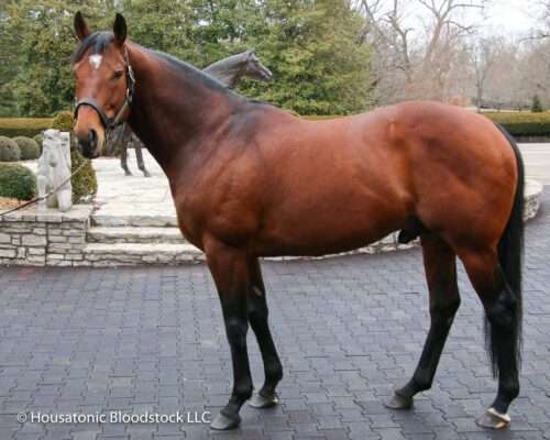 Declaration of War